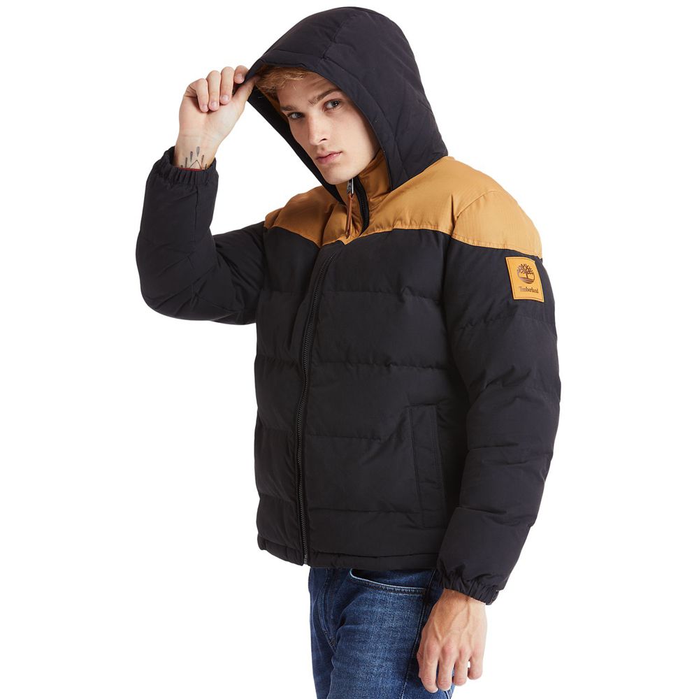 Chaquetas Timberland Hombre Welch Mountain Warm Invierno Marrones/Negras - Chile MPI-372648